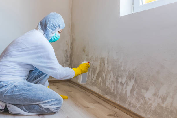 Licensed Crawl Space Mold Removal service in Deltaville, VA - WQB Mold Removal