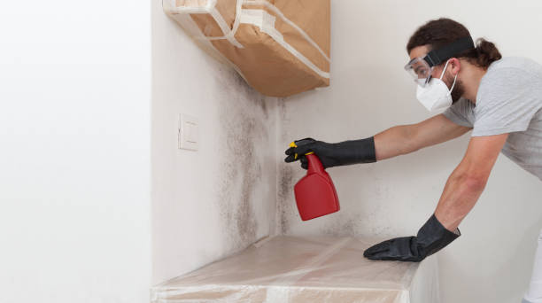 Professional Crawl Space Mold Removal technician working in Deltaville, VA