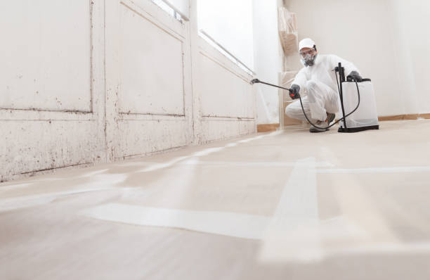 24/7 Emergency Crawl Space Mold Removal experts in Deltaville, VA